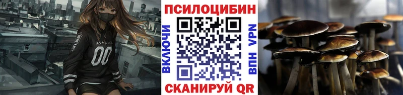 MEGA вход shop клад Псилоцибиновые грибы Cubensis Таруса